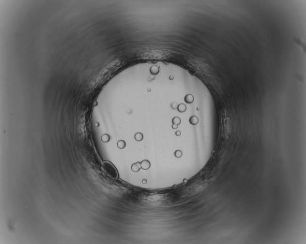 X0000100870312200807111324