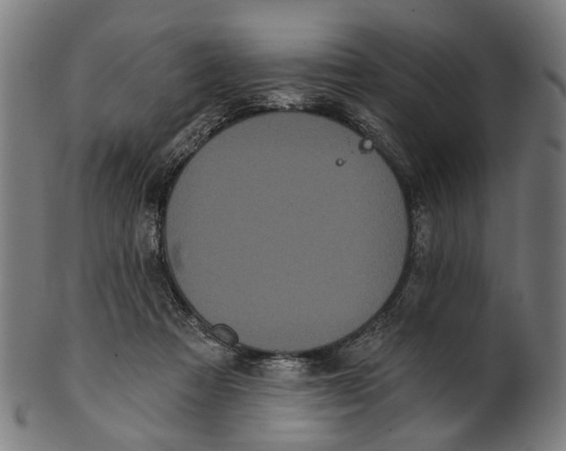 X0000100870313200807111324