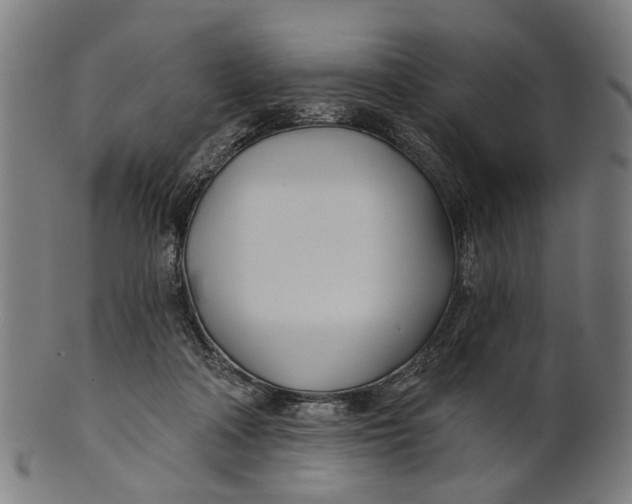 X0000100870314200807111324