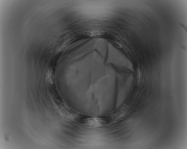 X0000100870316200807111324