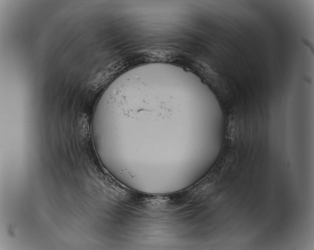 X0000100870318200807111324