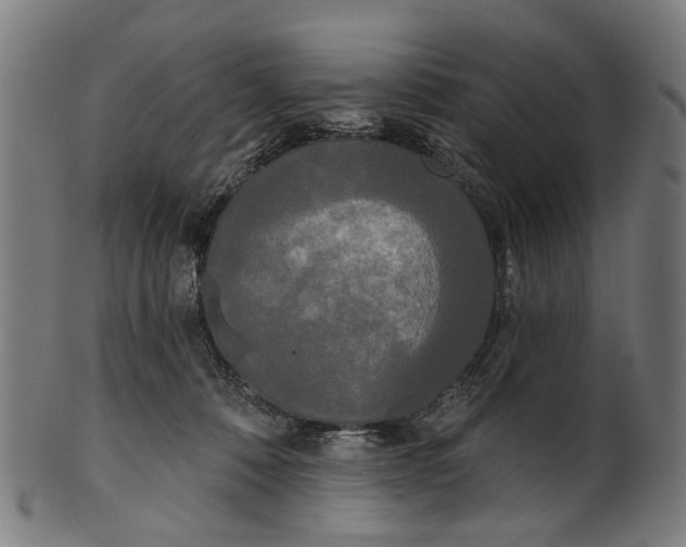 X0000100870320200807111324