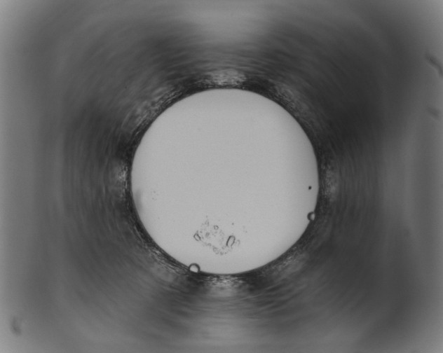 X0000100870321200807111324