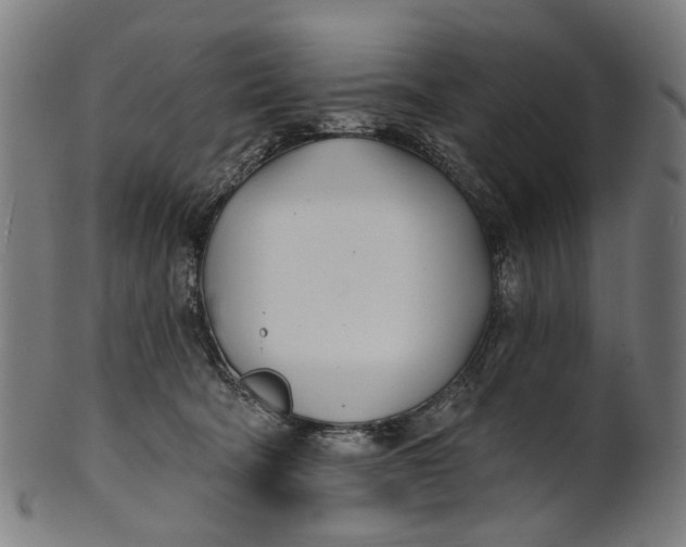 X0000100870322200807111324