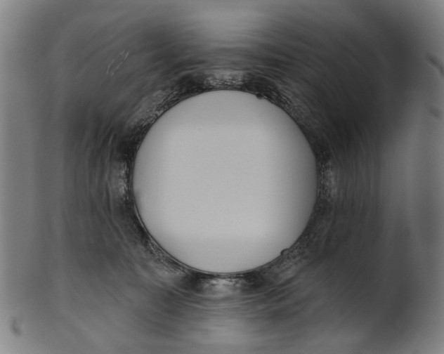 X0000100870323200807111324