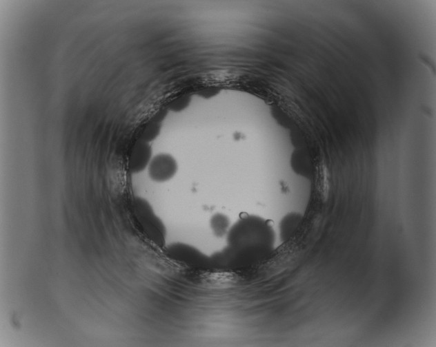 X0000100870324200807111324