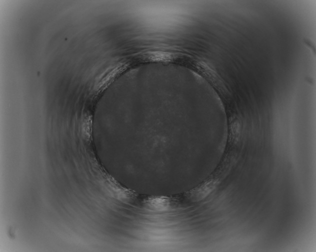 X0000100870325200807111324