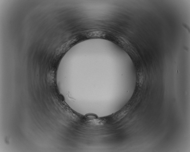 X0000100870326200807111324