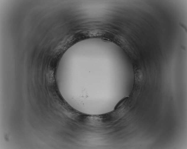 X0000100870327200807111324