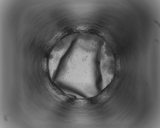 X0000100870328200807111324