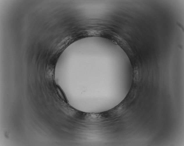 X0000100870329200807111324