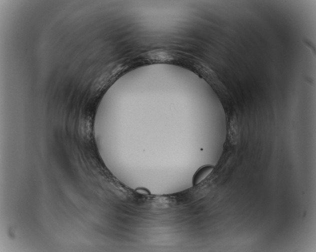 X0000100870330200807111324