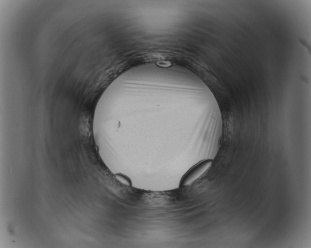 X0000100870331200807111324