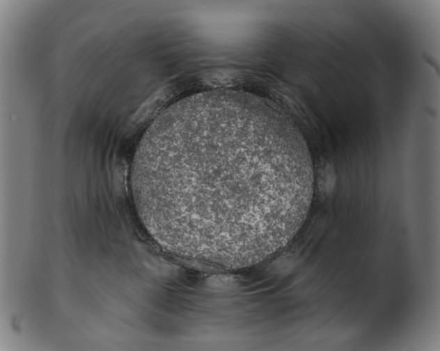 X0000100870332200807111324