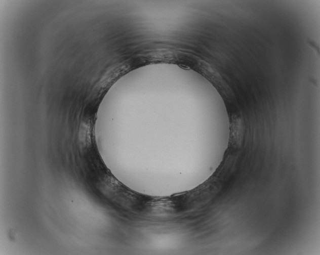 X0000100870333200807111324