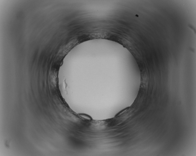 X0000100870334200807111324