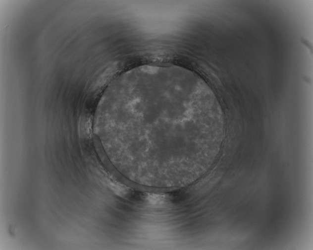 X0000100870336200807111324