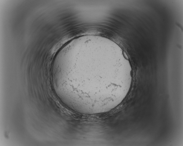 X0000100870337200807111323