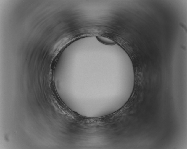 X0000100870338200807111323