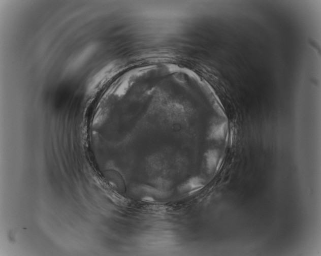 X0000100870339200807111323