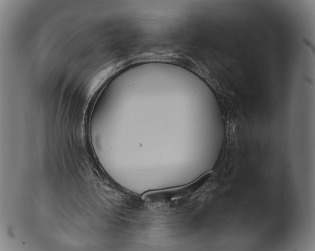 X0000100870340200807111323