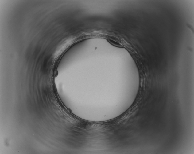 X0000100870341200807111323