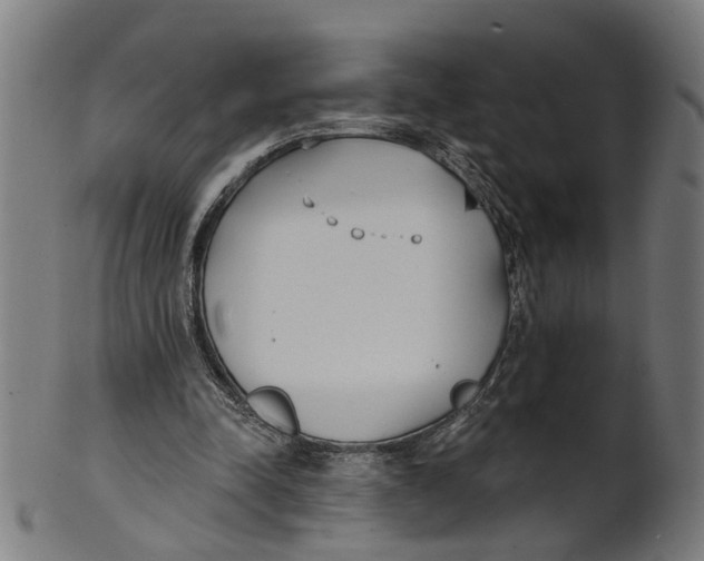 X0000100870342200807111323