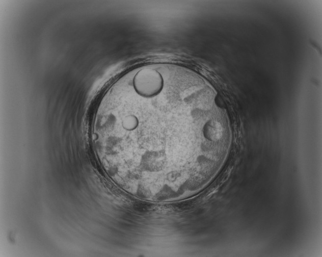 X0000100870343200807111323