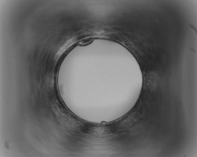 X0000100870344200807111323