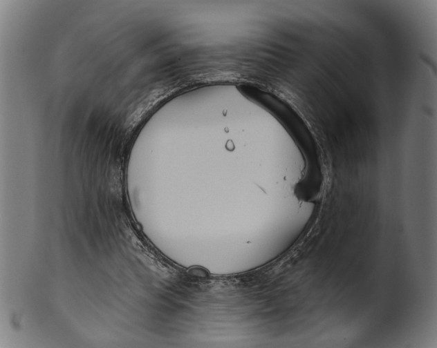 X0000100870345200807111323