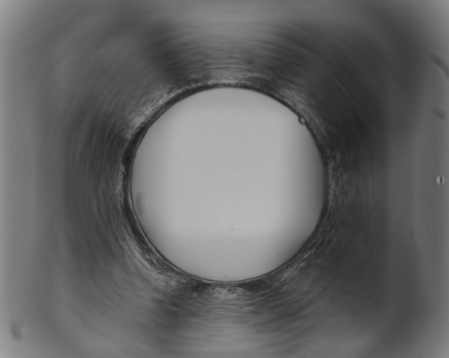 X0000100870346200807111323