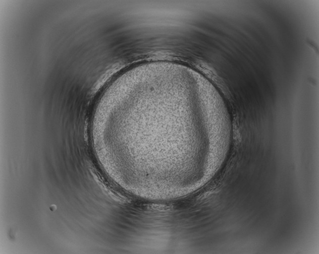 X0000100870347200807111323