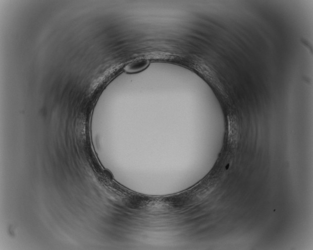 X0000100870348200807111323