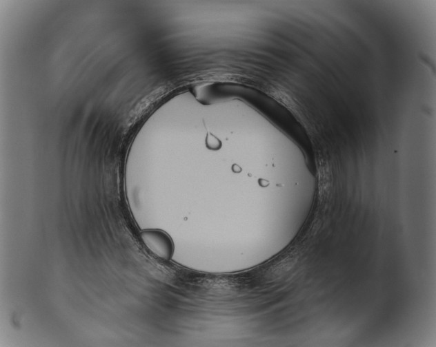 X0000100870349200807111323