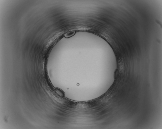 X0000100870350200807111323