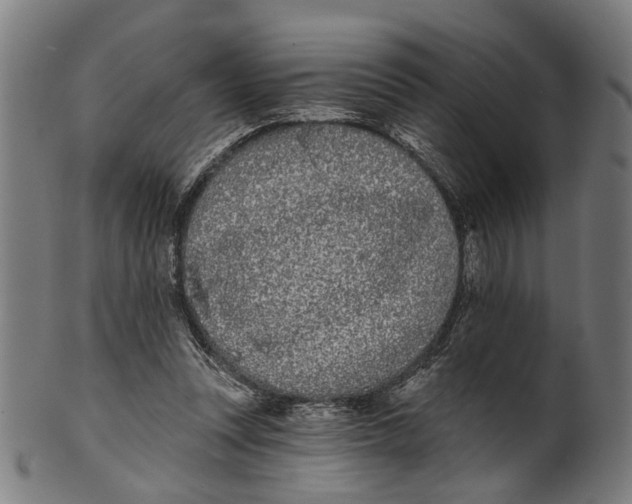 X0000100870351200807111323