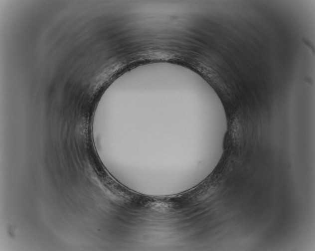 X0000100870352200807111323