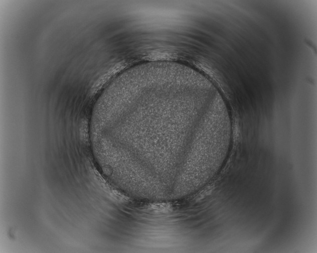 X0000100870353200807111323