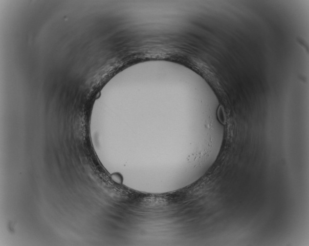 X0000100870354200807111323