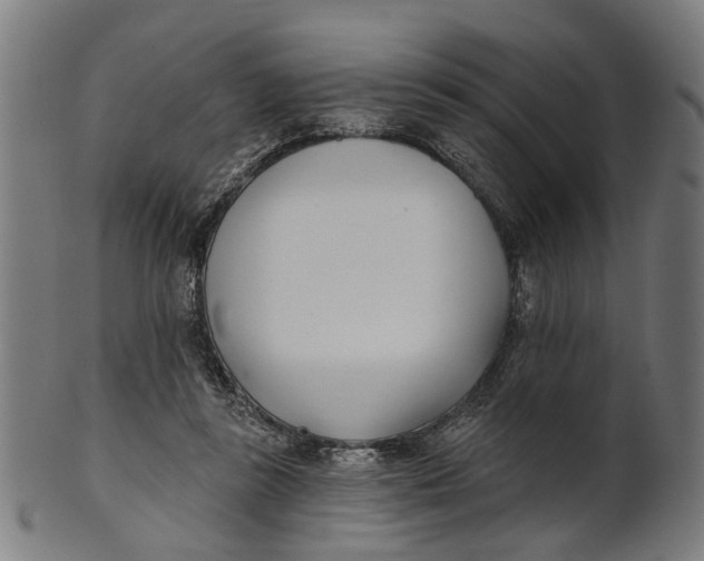 X0000100870355200807111323