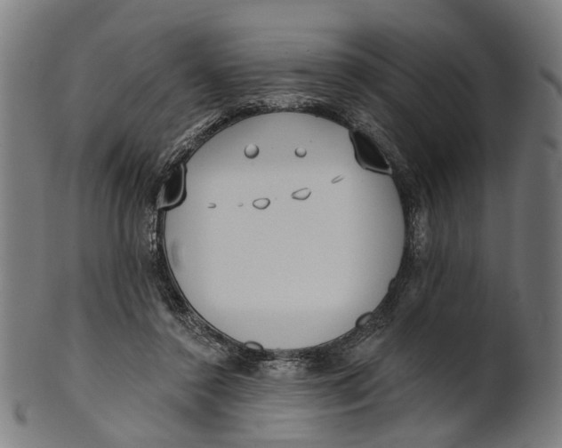 X0000100870356200807111323