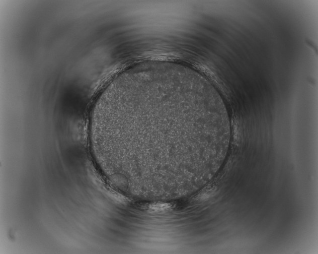 X0000100870357200807111323