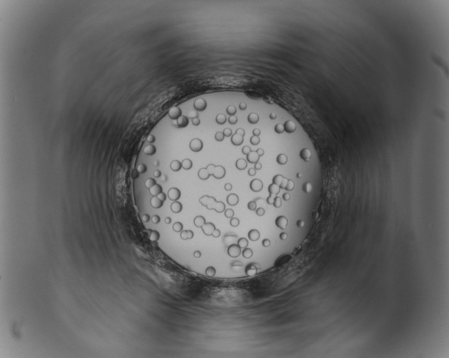 X0000100870360200807111323