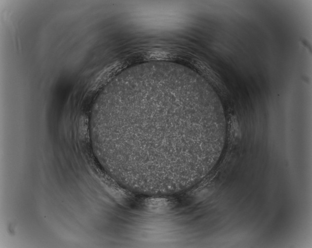 X0000100870361200807111323