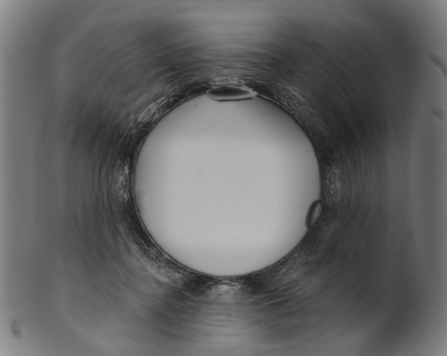 X0000100870364200807111323