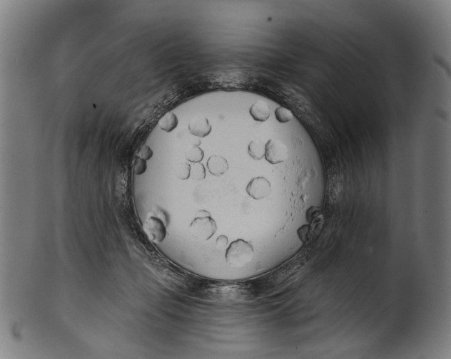 X0000100870365200807111323