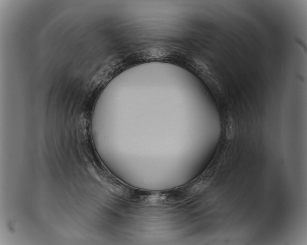 X0000100870366200807111323