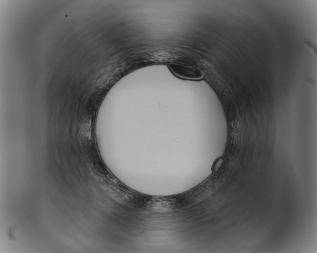 X0000100870368200807111323