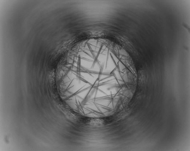 X0000100870369200807111323