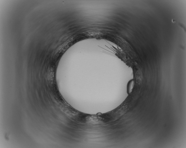 X0000100870372200807111323